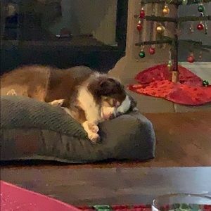 Meet your Posher, Carrie